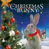 Christmas Bunny Poster Paint By Numbers