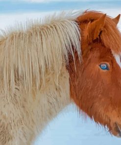 Close Up Icelandic Horse With Blue Eyes Paint By Numbers