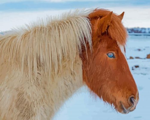 Close Up Icelandic Horse With Blue Eyes Paint By Numbers