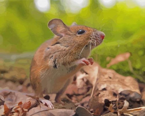 Cute Field Mouse Paint By Numbers