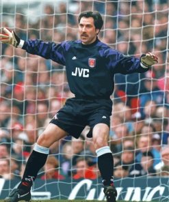 David Seaman English Goalkeeper Paint By Numbers