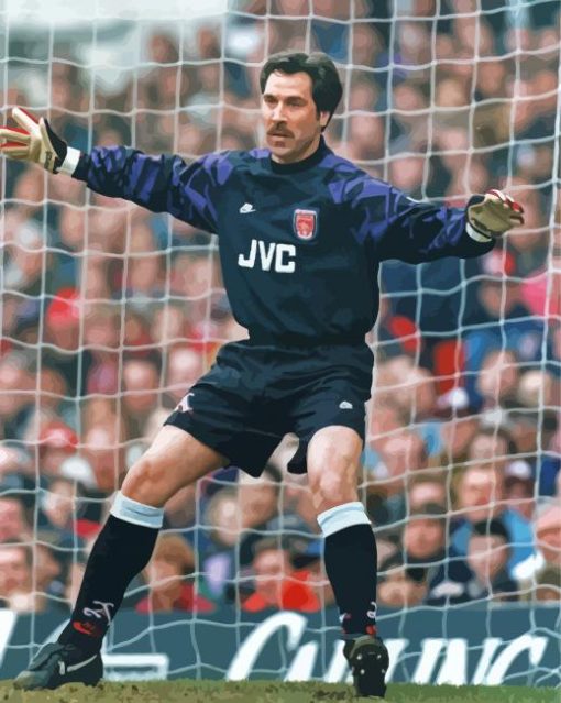 David Seaman English Goalkeeper Paint By Numbers