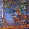 Deer Couple In Forest Paint By Numbers