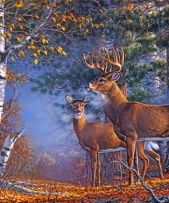 Deer Couple In Forest Paint By Numbers