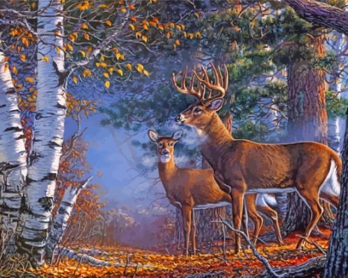 Deer Couple In Forest Paint By Numbers