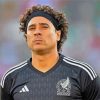 Guillermo Ochoa Football Player Paint By Numbers