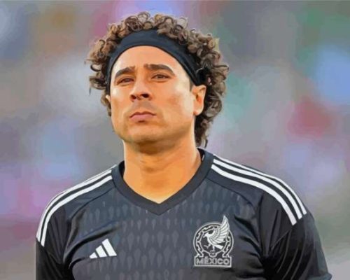 Guillermo Ochoa Football Player Paint By Numbers