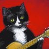 Guitar And Black Cat Paint By Numbers