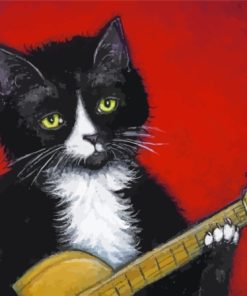 Guitar And Black Cat Paint By Numbers