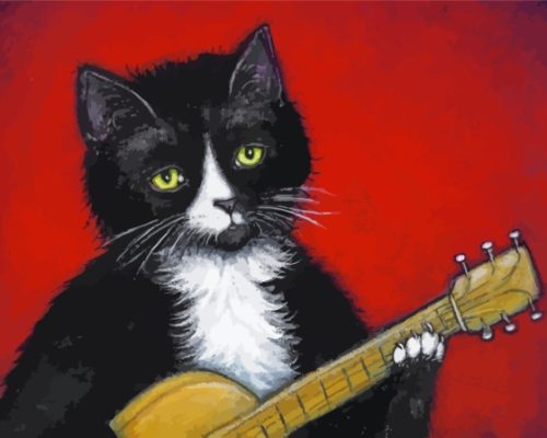 Guitar And Black Cat Paint By Numbers