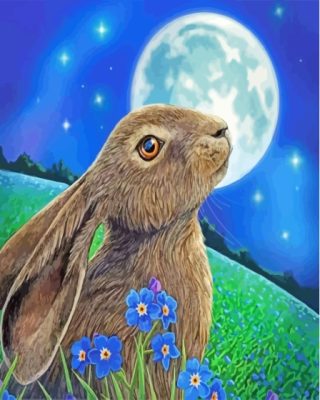 Hare Moon Gazing Paint By Numbers