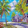 Hawaii Tropical House Paint By Numbers