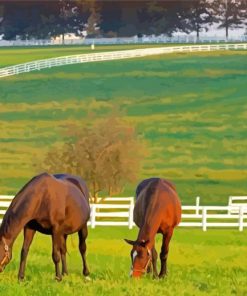 Horses Farm Paint By Numbers