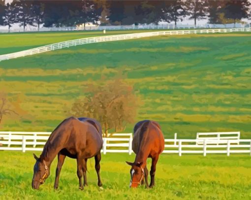 Horses Farm Paint By Numbers