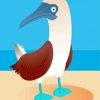 Illustration Blue Footed Boobie Paint By Numbers