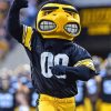 Iowa Hawkeyes Mascot Paint By Numbers