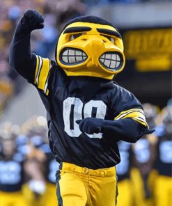 Iowa Hawkeyes Mascot Paint By Numbers