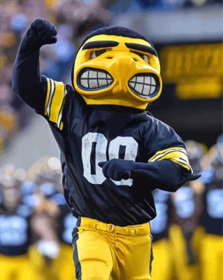 Iowa Hawkeyes Mascot Paint By Numbers