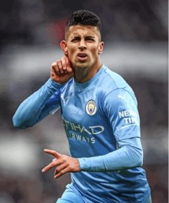 Joao Cancelo Paint By Numbers