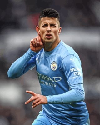 Joao Cancelo Paint By Numbers