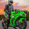 Kawasaki Ninja Motorcycle Driver Paint By Numbers