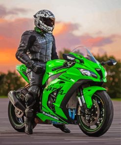 Kawasaki Ninja Motorcycle Driver Paint By Numbers