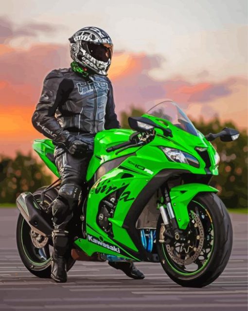 Kawasaki Ninja Motorcycle Driver Paint By Numbers