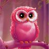 Magical Pink Owl Paint By Numbers