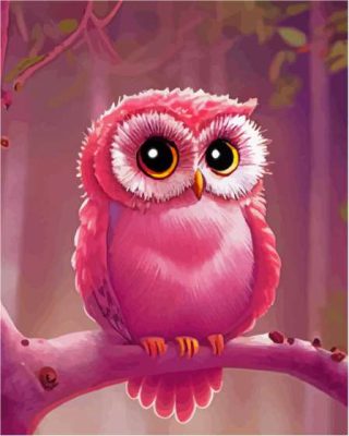 Magical Pink Owl Paint By Numbers