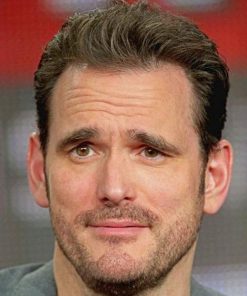 Matt Dillon Paint By Numbers