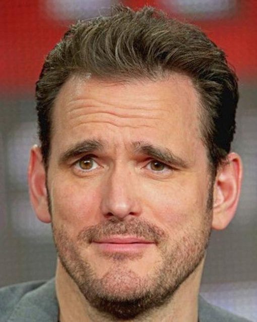 Matt Dillon Paint By Numbers