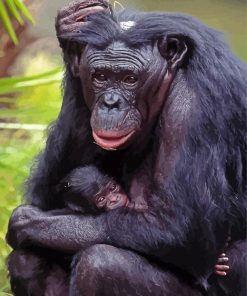 Mom Chimpanzee Paint By Numbers