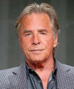 Old Don Johnson Paint By Numbers