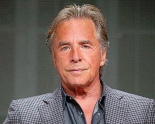 Old Don Johnson Paint By Numbers