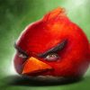 Red Mad Bird Paint By Numbers