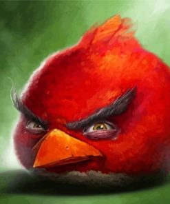 Red Mad Bird Paint By Numbers