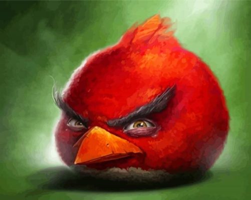 Red Mad Bird Paint By Numbers