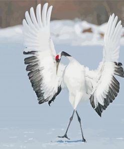 Red Crowned Crane Paint By Numbers