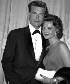 Robert Wagner And Natalie Wood Paint By Numbers