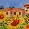 Sunflowers Tuscany Paint By Numbers