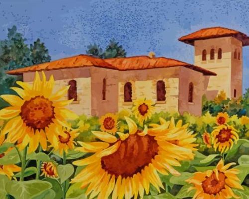 Sunflowers Tuscany Paint By Numbers