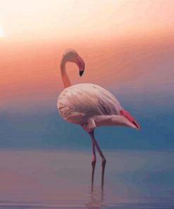 Sunrise Flamingo Paint By Numbers