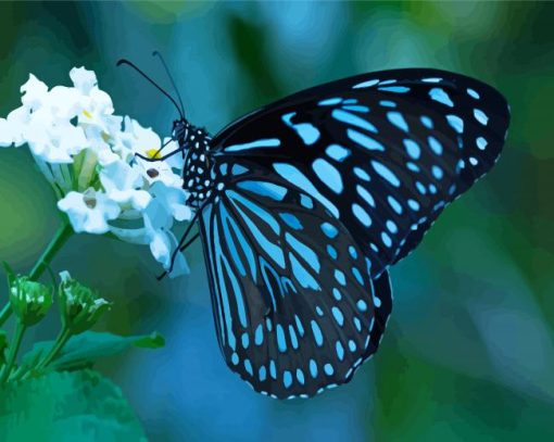 The Blue Tiger Butterfly Paint By Numbers