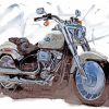 The Harley Fat Boy Motorcycle Paint By Numbers