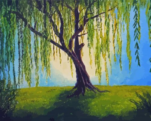The Willow Tree Art Paint By Numbers