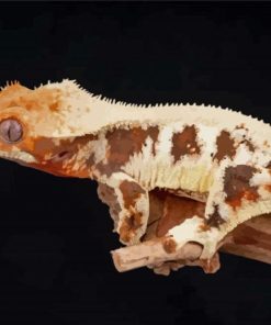 The Lilly White Crested Gecko Paint By Numbers