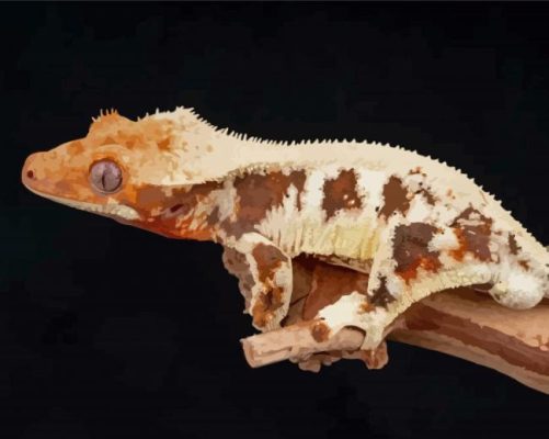 The Lilly White Crested Gecko Paint By Numbers