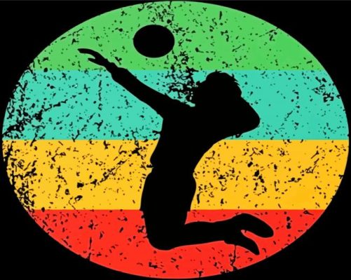 Volleyball Player Paint By Numbers