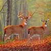 Whitetail Buck And Doe In Forest Paint By Numbers