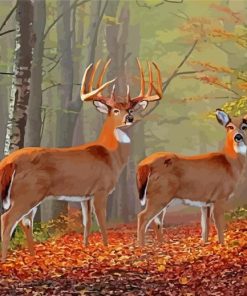 Whitetail Buck And Doe In Forest Paint By Numbers